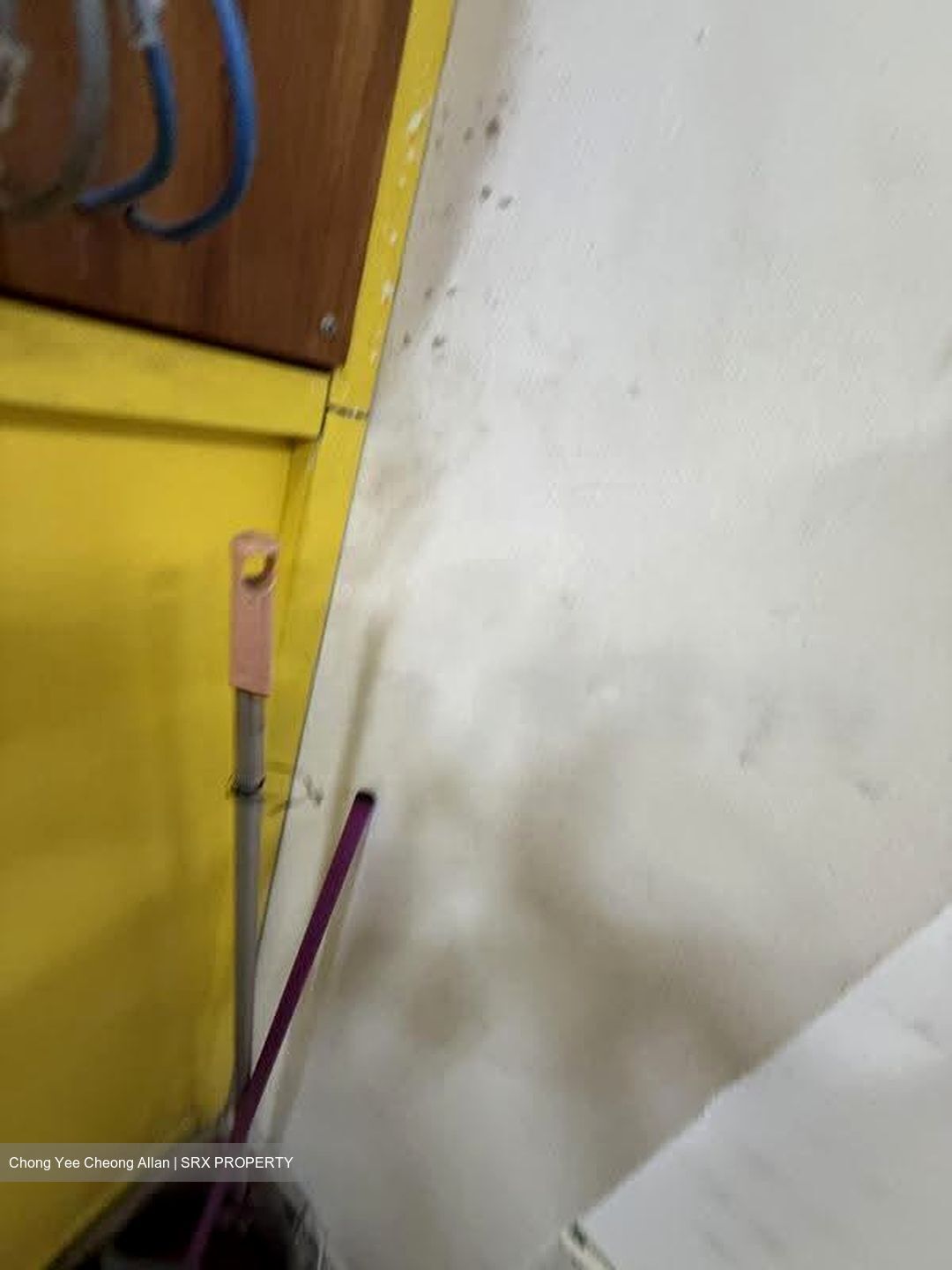 Braddell Tech (D12), Warehouse #634973351